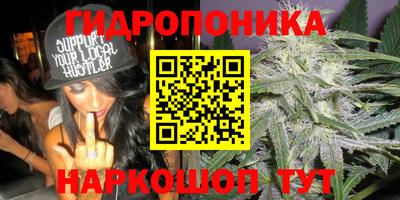 jwh Гусь-Хрустальный