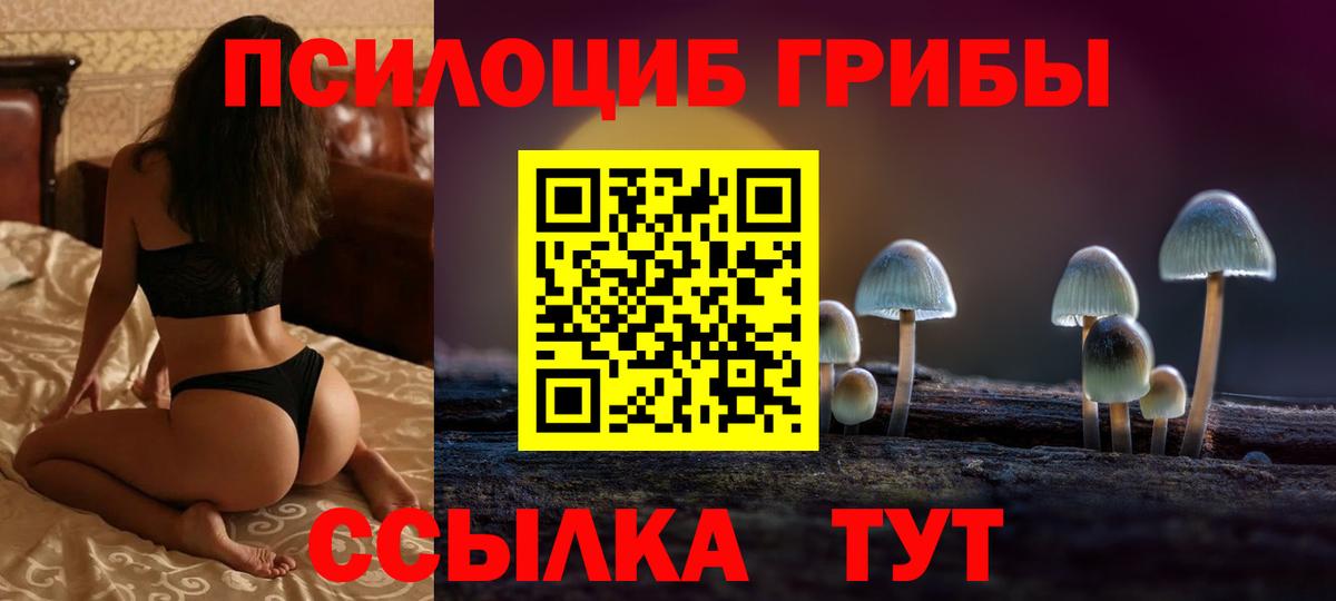 Галлюциногенные грибы GOLDEN TEACHER  закладки  Котовск  Вход с VPN  Псилоцибиновые грибы Psilocybine cubensis 